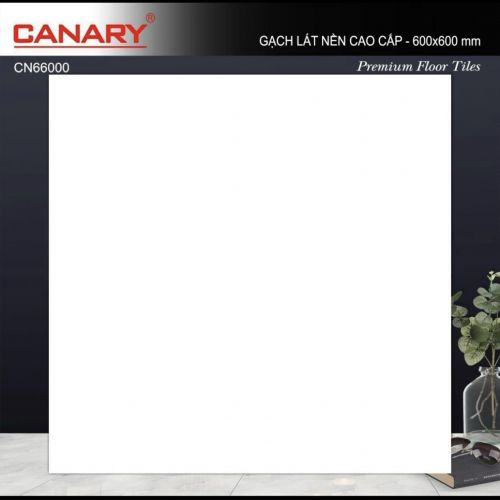 Gạch Canary 60x60 mã CN66000