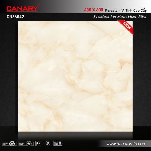 Gạch Canary 60x60 mã CN66042